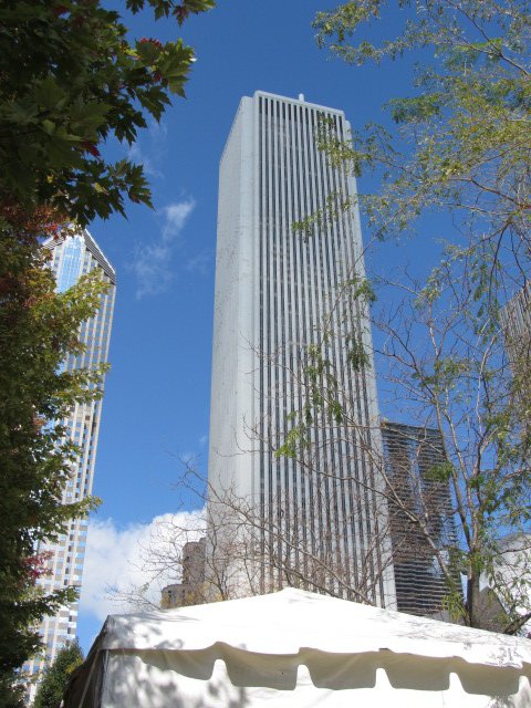 Aon Center (ormerly Amoco Building) from Millennium Park